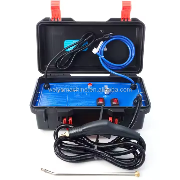 Commercial Industrial Tankless - Steam Cleaner Commercial 3000W recension och pris