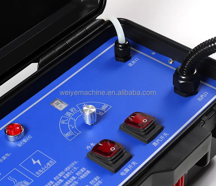 Commercial Industrial Tankless - Steam Cleaner Commercial 3000W recension och pris