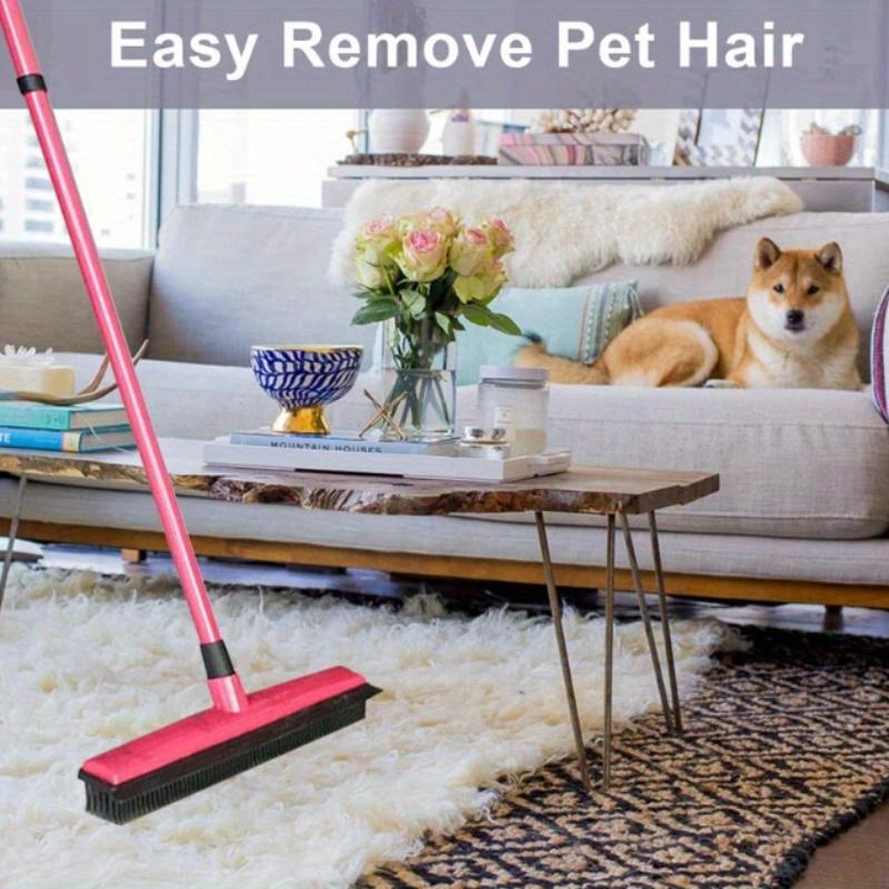 1Pc Pet Carpet Dehairing Sweep - Carpet Extractor Machine recension och pris