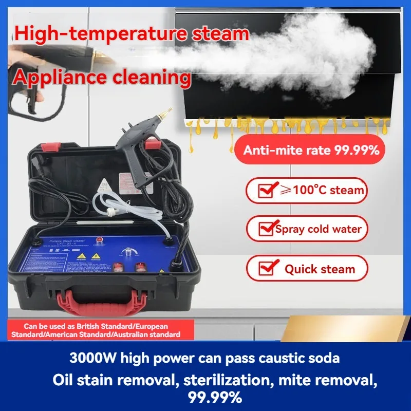 110V/220V High Temperature Ste - Steam Cleaner Commercial 3000W recension och pris