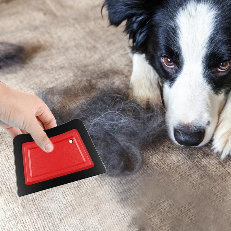 Pet Hair Remover Comb Brush Do - Carpet Extractor Machine recension och pris