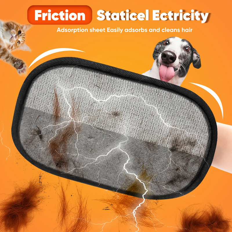 Upgrade Pet Hair Remover Elect - Carpet Extractor Machine recension och pris