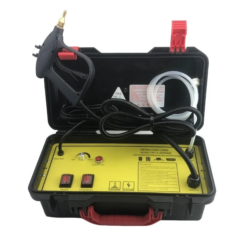 110V/220V High Temperature Ste - Steam Cleaner Commercial 3000W recension och pris