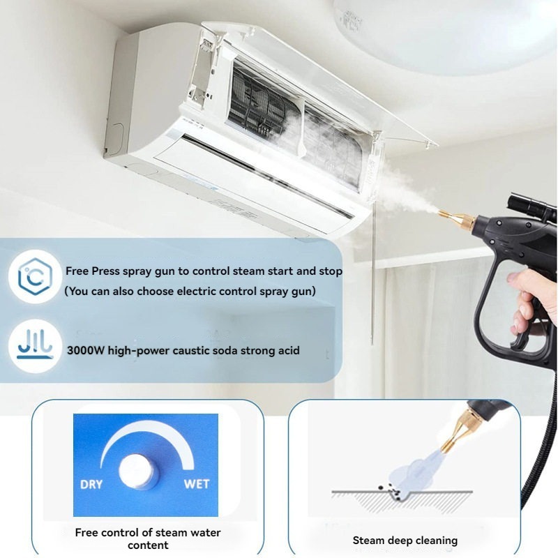 110V/220V High Temperature Ste - Steam Cleaner Commercial 3000W recension och pris
