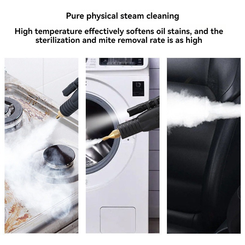 110V/220V High Temperature Ste - Steam Cleaner Commercial 3000W recension och pris